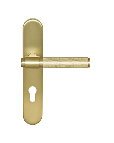 Puxador Cers Dourado Acetinado PVD em placa cilindro ea70 EUROWALE