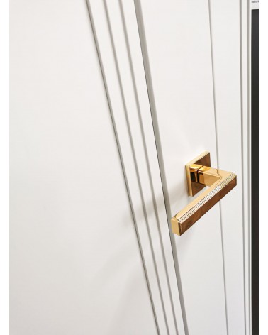 Puxador de porta dourado polido RAFLESIA puxador design montado numa porta