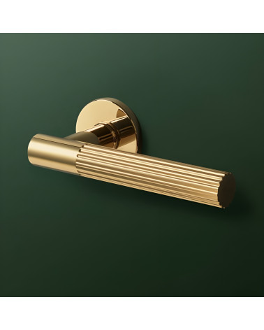 Puxador de porta ouro polido LIVIA puxador design em destaque sobre fundo verde
