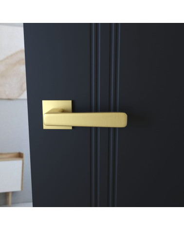 Puxador de porta em zamak PARMA design vista frontal montado numa porta