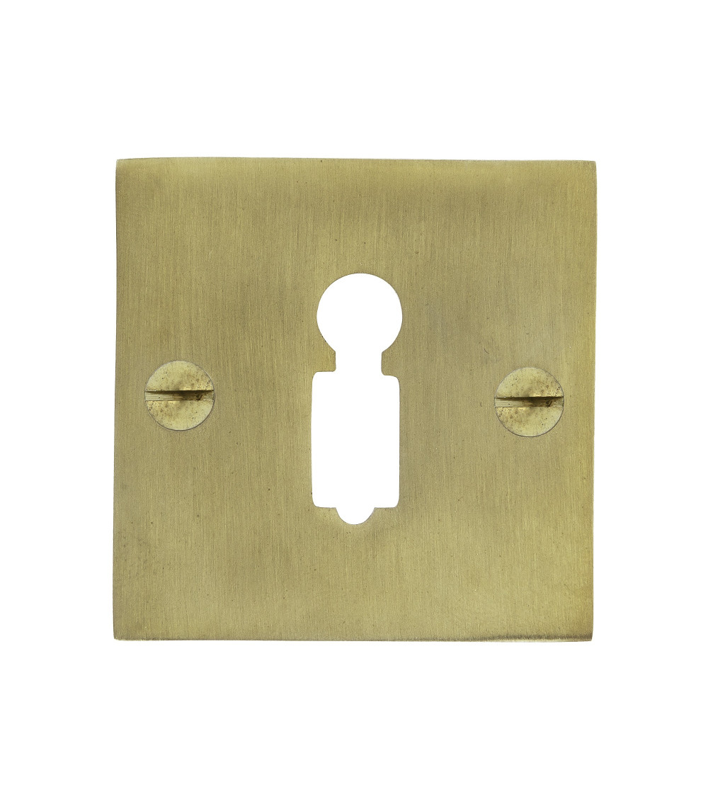 Escudo de porta CDL com chave de cilindro em latão - puxador design