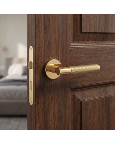 Puxador de Porta em Ouro Polido de beleza luxuosa - Modelo MOLINIA