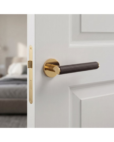 Puxadores de porta dourados polidos EGERIA
