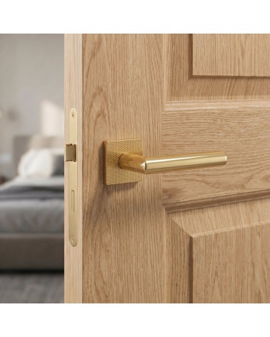 Puxadores de porta elegantes TUPAI 4002-T2 em dourado - MillaPoignées
