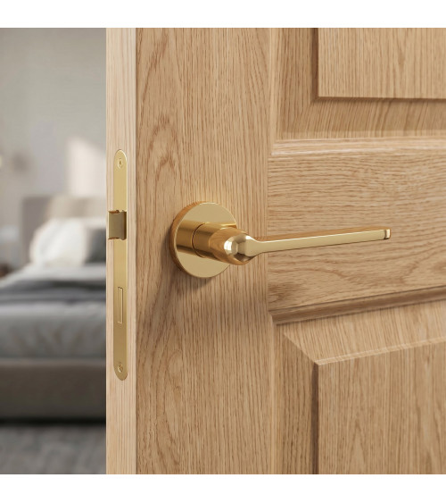 Puxador de porta dourado polido LORENZA design