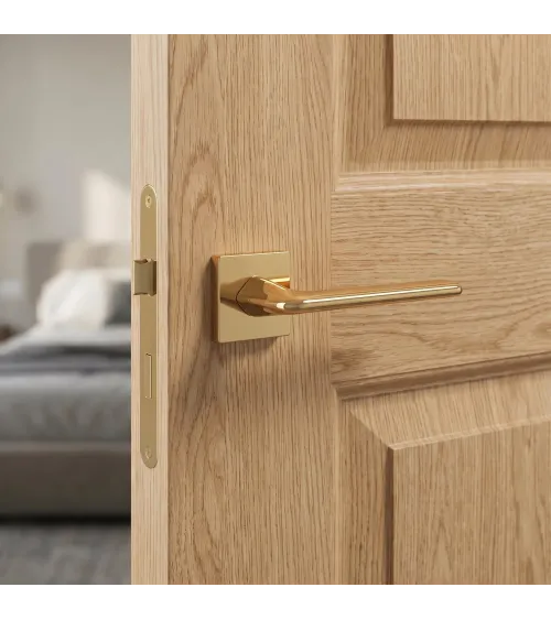 Puxador de porta dourado polido LILA puxador design