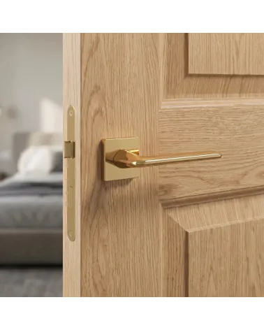 Maçaneta de Porta Ouro Polido Prestigioso e Luminoso - Modelo LILA