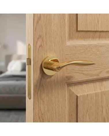 Puxador de Porta Ouro Polido para um acabamento luxuoso - Modelo ROBINE