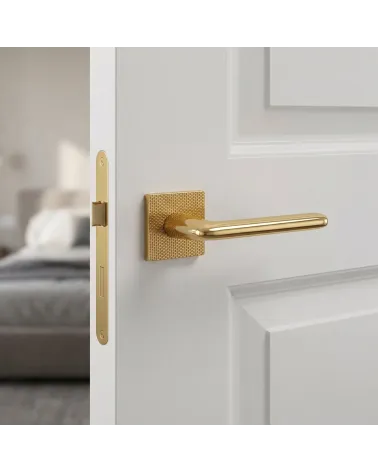 Puxador de Porta Dourado Polido para uma decoração luxuosa - Modelo TUPAI 4165-T2