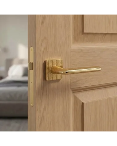 Puxador de Porta Dourado Polido para uma decoração luxuosa - Modelo TUPAI 4165-T2