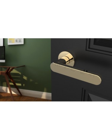 Puxador de porta dourado polido ALORA design vista inclinada montado numa porta