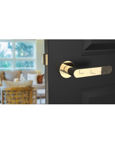 Puxador de porta dourado polido ALORA design vista frontal montado numa porta