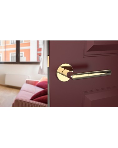 Puxador de porta cor ouro polido ARABIS puxador design vista inclinada montado numa porta