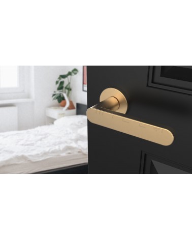 Puxador de porta dourado mate ALORA design vista inclinada montado numa porta