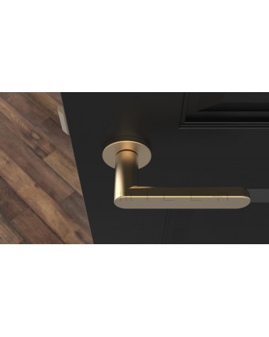 Puxador de porta dourado mate ALORA design vista de cima montado numa porta