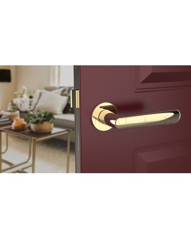 Puxador de porta dourado polido ARIA puxador design vista de frente montado numa porta