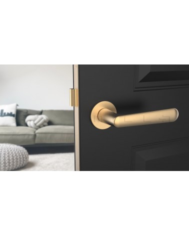 Puxador de porta dourado mate ARIA puxador design vista de frente montado numa porta