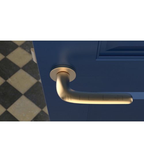 Puxador de porta dourado mate AZALIA puxador design