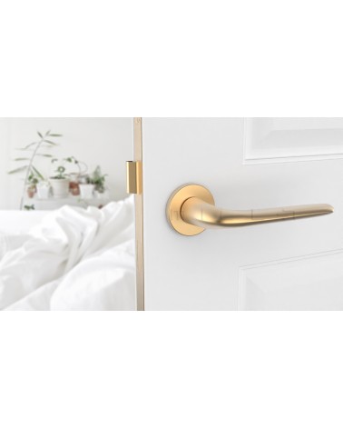 Puxador de porta Dourado mate AZALIA design vista frontal montado numa porta