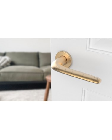 Puxador de porta Ouro mate AZALIA puxador design vista inclinada montado numa porta