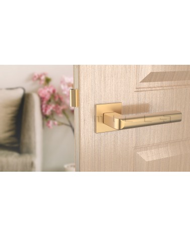 Puxador de porta dourado mate SALICE ferragens design vista de frente montado numa porta