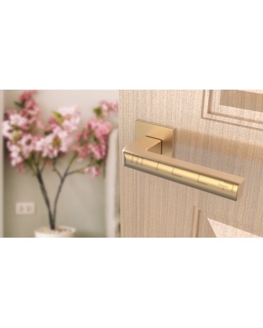 Puxador de porta dourado mate SALICE ferragens design vista inclinada montado numa porta