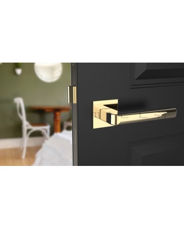 Puxador de porta ouro polido SALICE ferragens design vista frontal montado numa porta