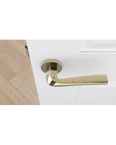 Puxador de porta dourado polido DALIA design vista de cima montado numa porta