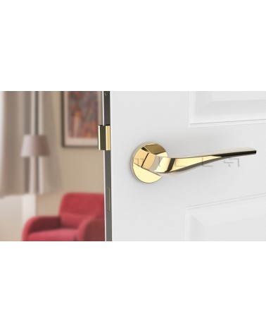 Puxador de porta dourado polido DALIA design vista de frente montado numa porta