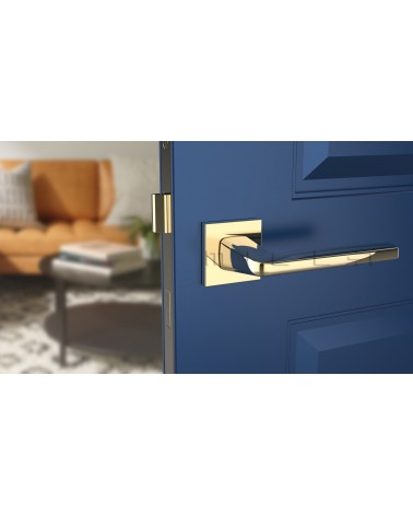 Puxador de porta dourado polido ERBA puxador design vista de frente montado numa porta
