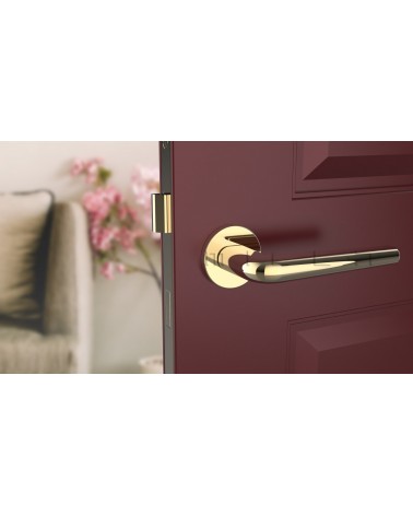 Puxador de porta dourado polido FUNKIA puxador design vista de frente montado numa porta