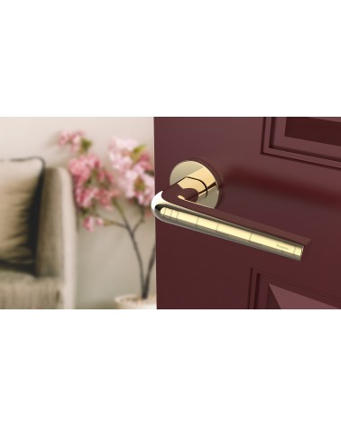 Puxador de porta dourado polido FUNKIA puxador design vista inclinada montado numa porta