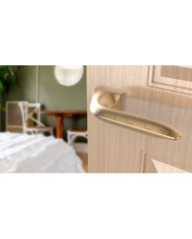Puxador de porta Ouro mate GLADIOLA puxador design vista inclinada montado numa porta