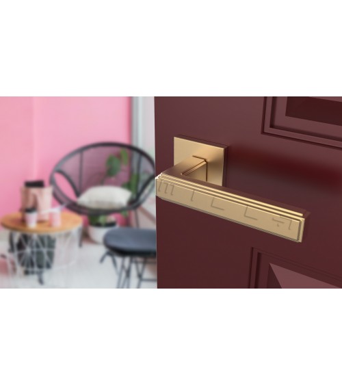 Puxador de porta dourado mate RAFLESIA puxador design