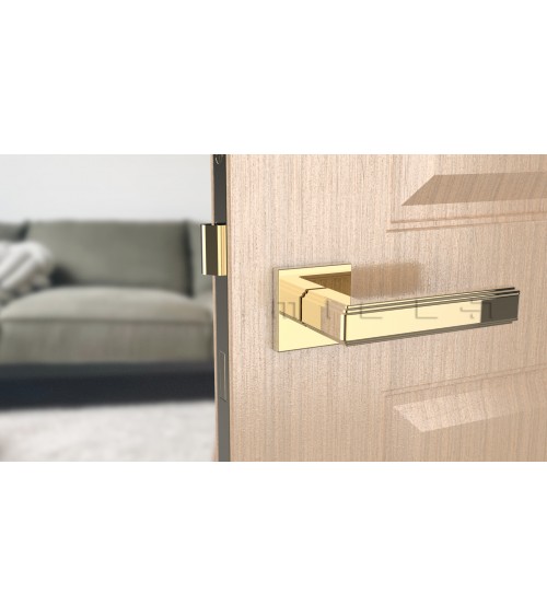 Puxador de porta dourado polido RAFLESIA puxador design