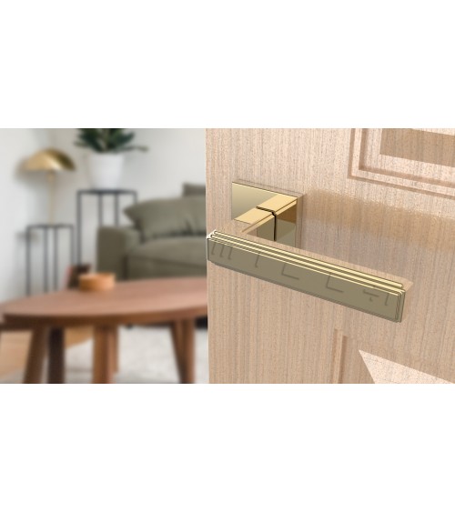 Puxador de porta dourado polido RAFLESIA puxador design