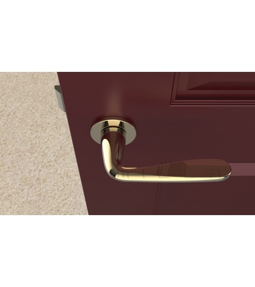 Puxador de porta dourado polido HIACYNTA puxador design