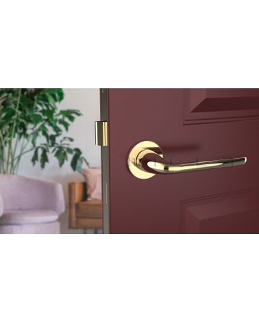Puxador de porta dourado polido HIACYNTA puxador design vista de frente montado numa porta