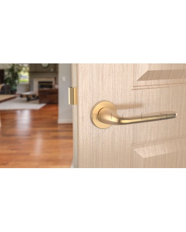 Puxador de porta ouro mate HIACYNTA design vista de frente montado numa porta