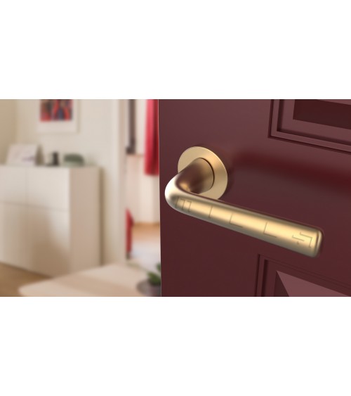 Puxador de porta Ouro mate TULIPA porta interior design