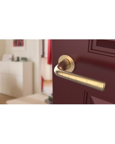 Puxador de porta Dourado mate TULIPA porta interior design vista inclinada montado numa porta