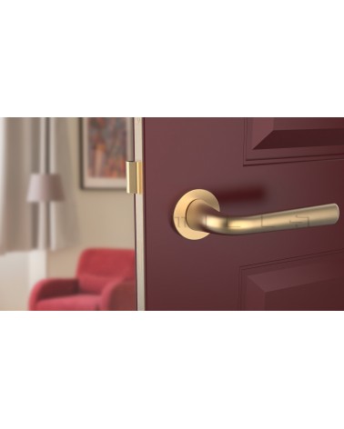 Puxador de porta Dourado mate TULIPA porta interior design vista de frente montado numa porta