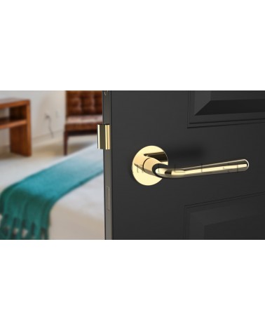 Puxador de porta dourado polido IRGA puxador design vista de frente montado numa porta