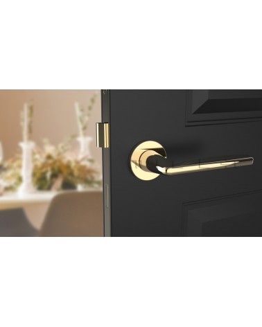 Puxador de porta dourado polido LUNA puxador design vista de frente montado numa porta