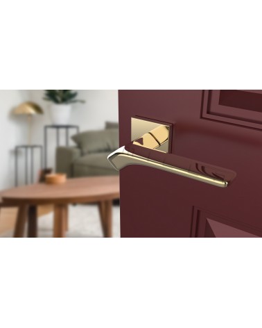 Puxador de porta BERGERIA ferragens design cor 1 vista inclinada montado numa porta