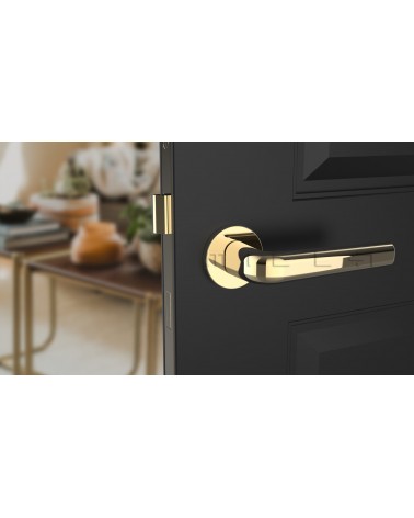 Puxador de porta dourado polido INULLA puxador design vista frontal montado numa porta