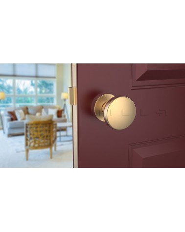 Botão de porta Ouro mate MESA Redondo móvel