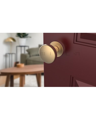 Botão de porta Ouro mate MESA Redondo móvel