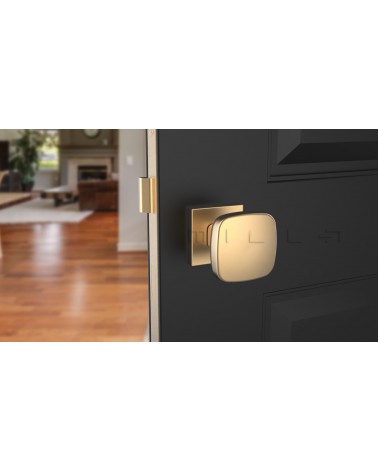 Botão de porta Ouro mate KIAMA quadrado - puxador design