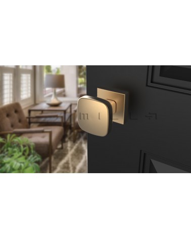 Botão de porta Ouro mate KIAMA quadrado - puxador design